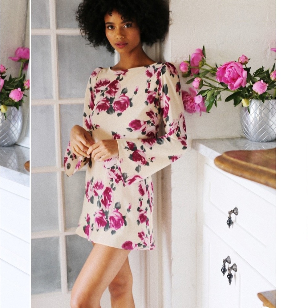 New stone cold fox Baiser dress